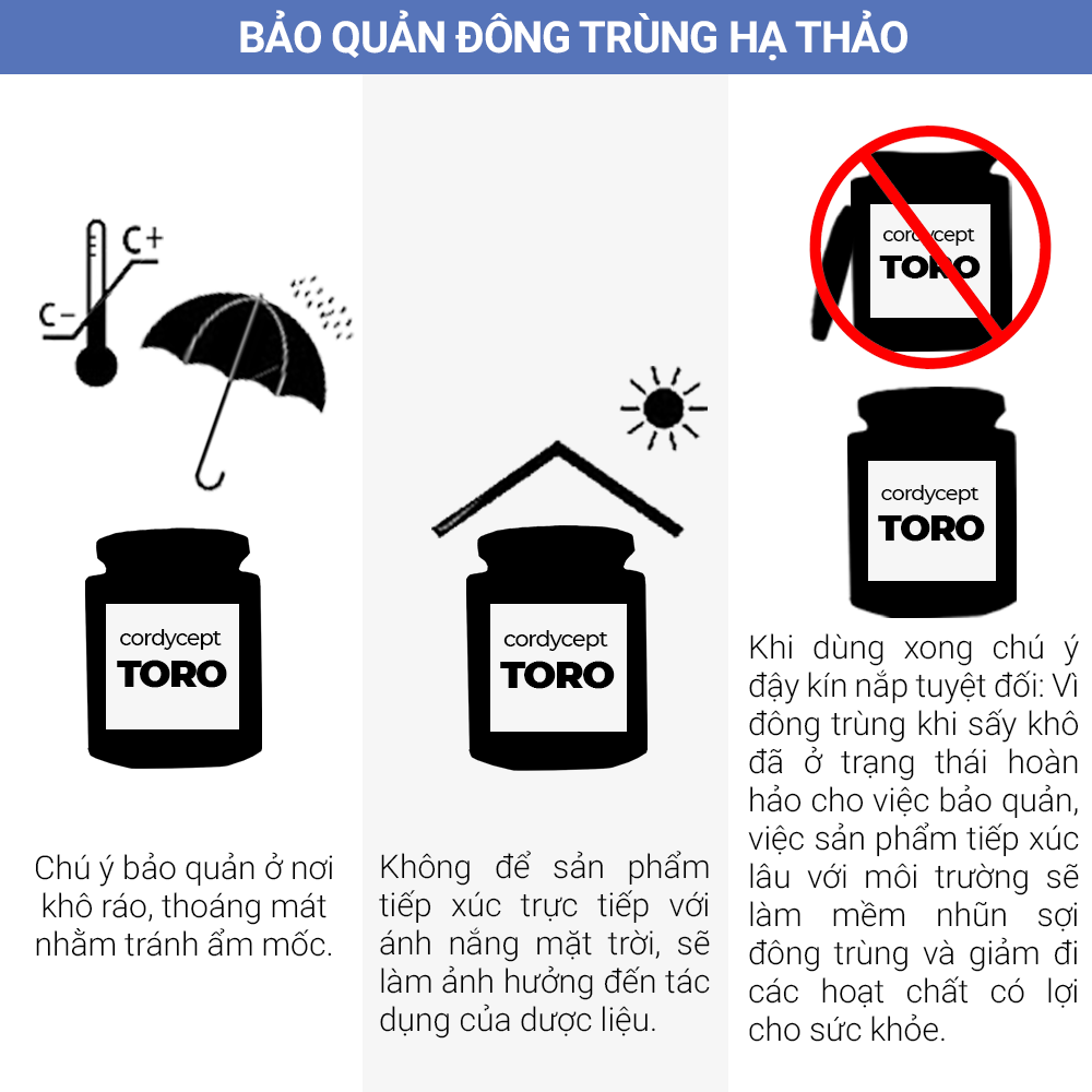 Đông Trùng Hạ Thảo Toro Sấy Thăng Hoa Nguyên Sợi Tăng Cường Sinh Lý