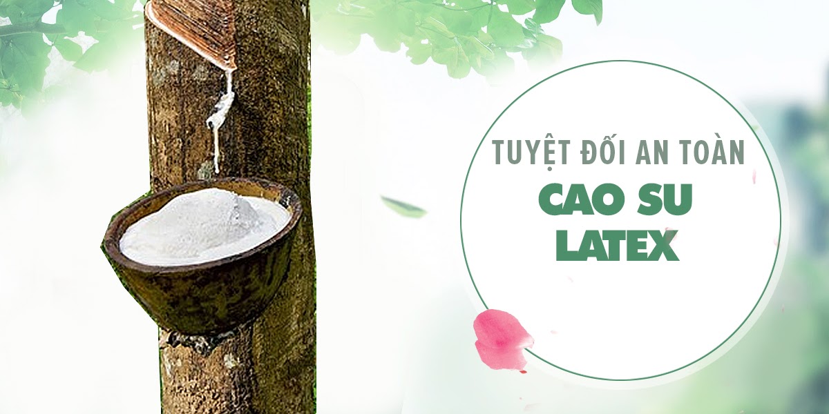 Bao cao su Quinn Pleasure Max gân điểm nổi tăng khoái cảm 12 cái