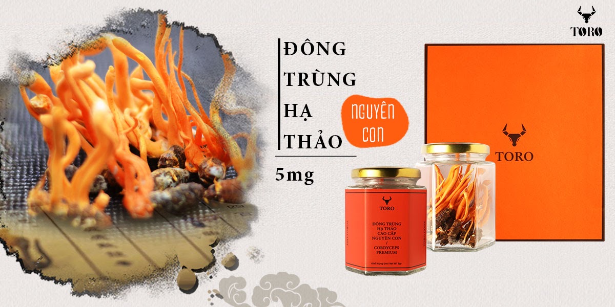 Đông Trùng Hạ Thảo Nguyên Con Cao Cấp Tăng Sinh Lý Bồi Bổ Sức Khỏe