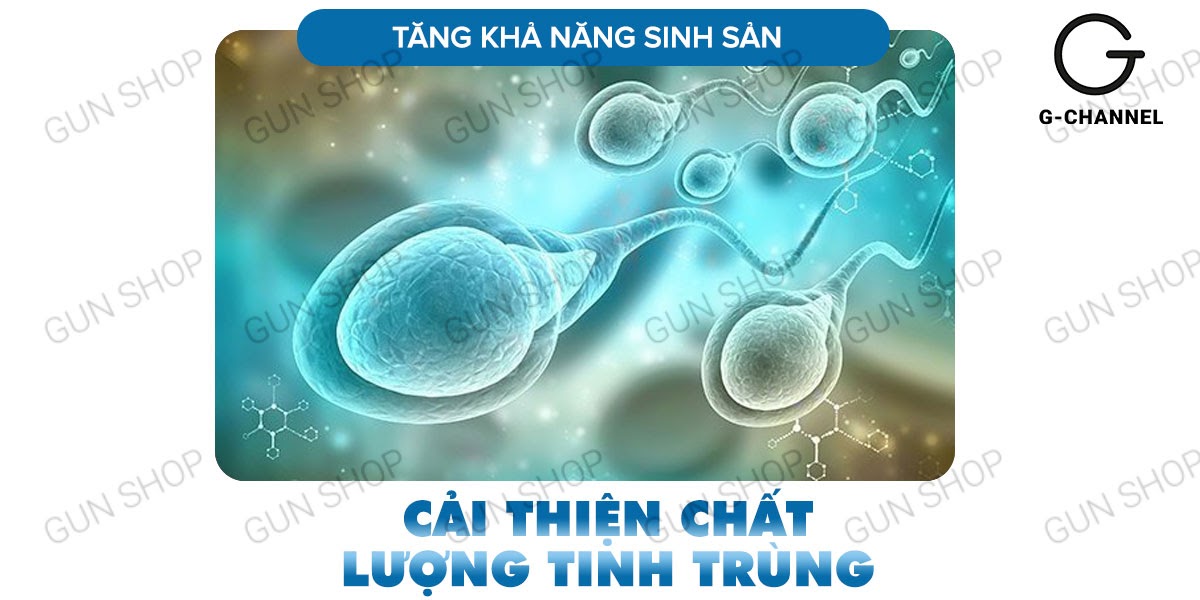 Maxman chính hãng tăng cường sinh lý kéo dài thời gian hộp 10 viên