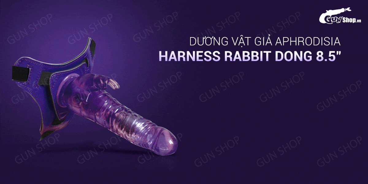  Shop bán Dương vật giả có dây đeo 10 chế độ rung dùng pin - Aphrodisia Harness Rabbit Dong 8.5 giá tốt